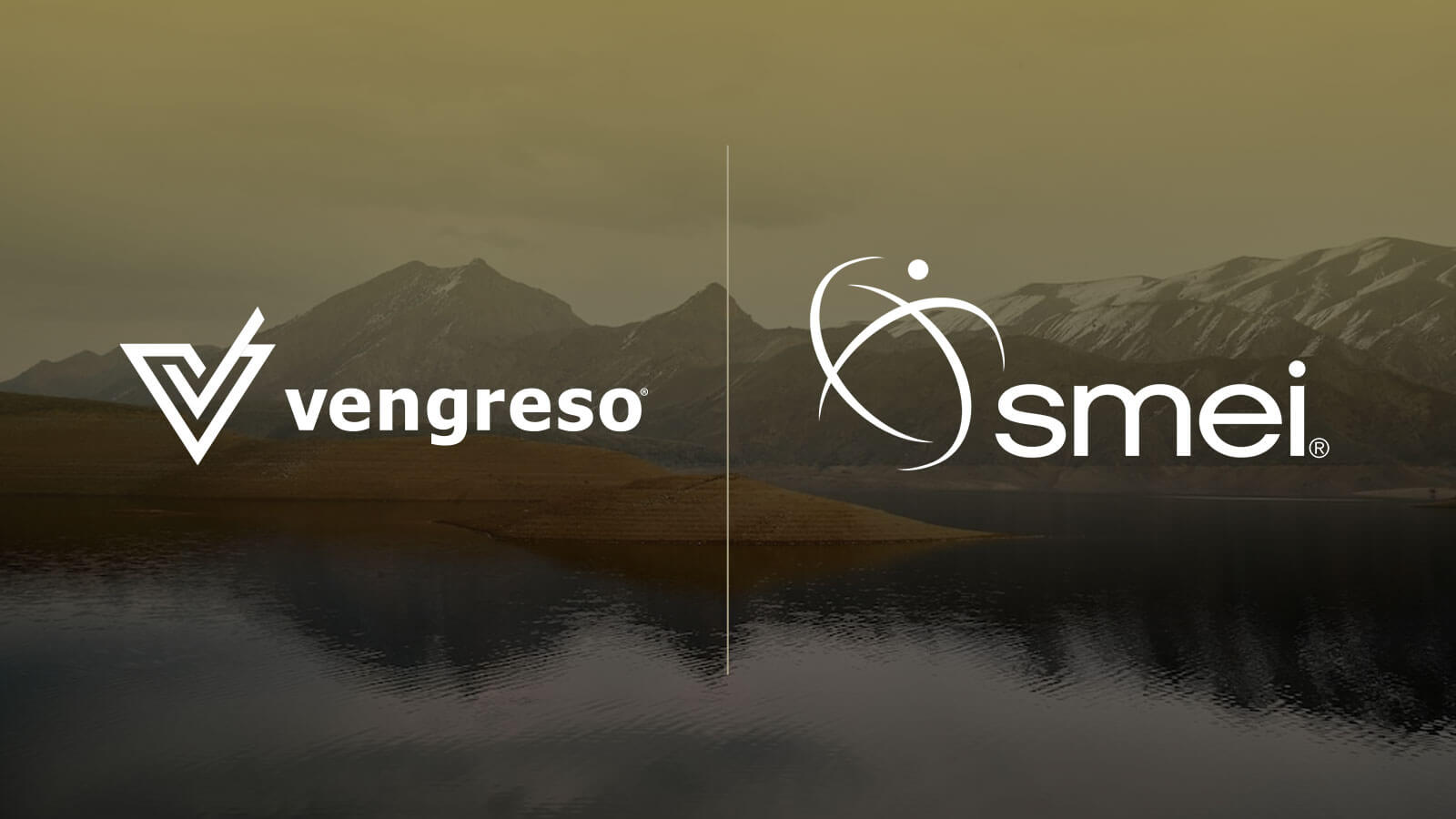 Partnership between SMEI and Vengreso for LinkedIn Training.