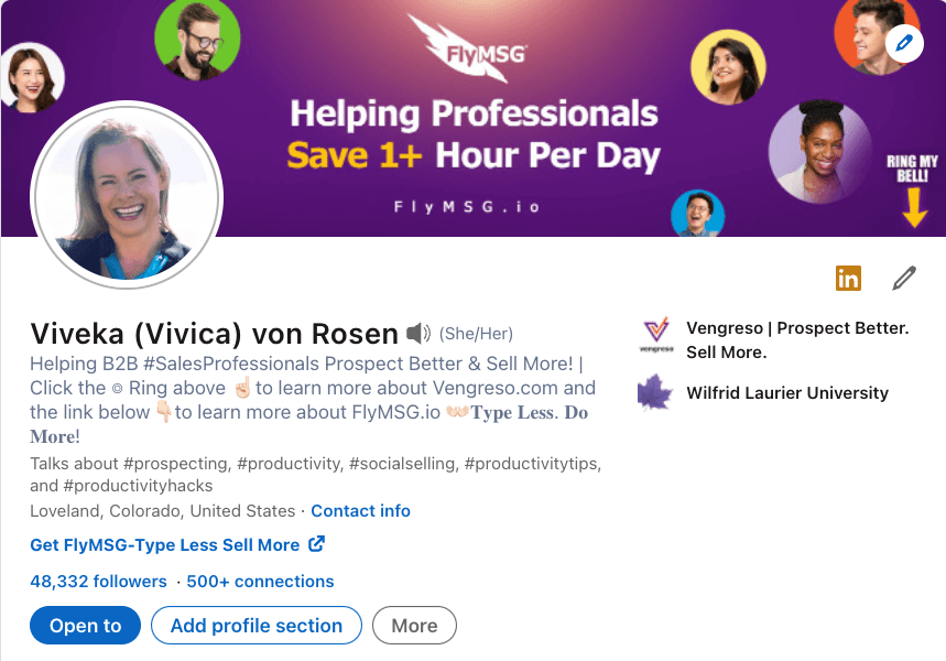 Screenshot of Viveka von Rosen's LinkedIn Profile