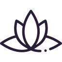 line drawing of a lotus flower