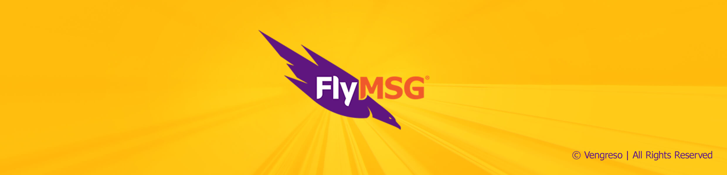FlyMSG Logo to Save Your Time