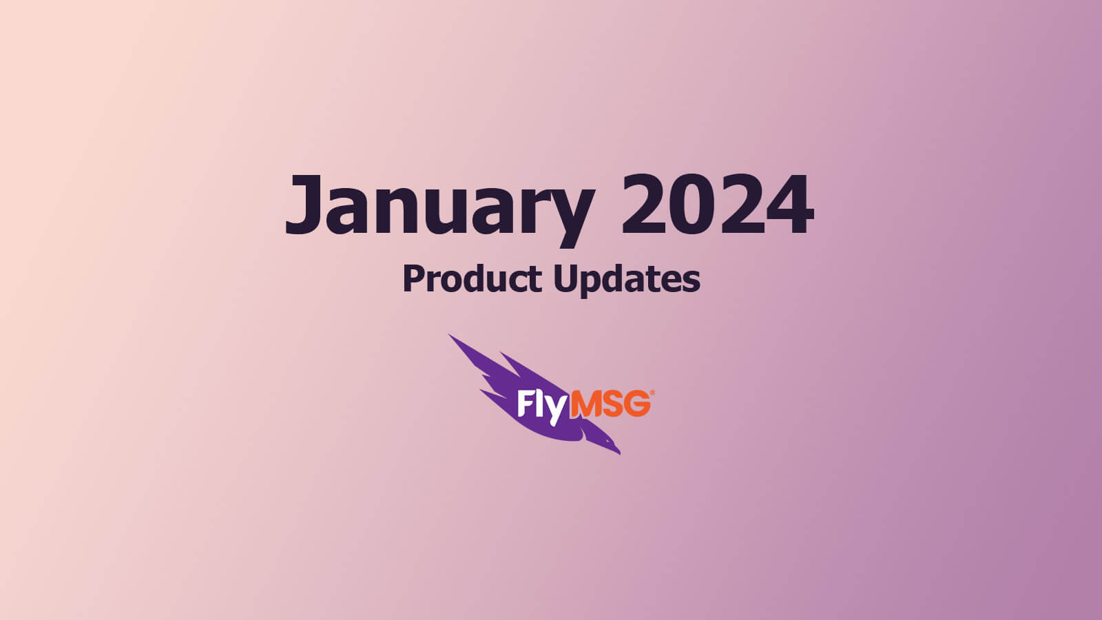 January 2024 - FlyMSG AI Product Releases